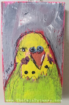Parakeet 7
