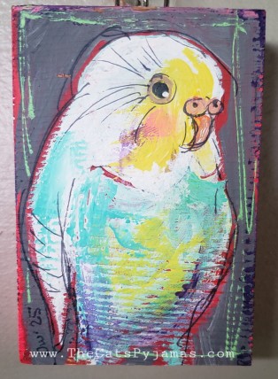 Parakeet 9