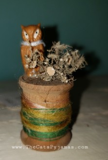 Owl Assemblage #8