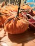 Repurposed Pumpkins